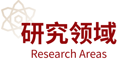 Research Areas