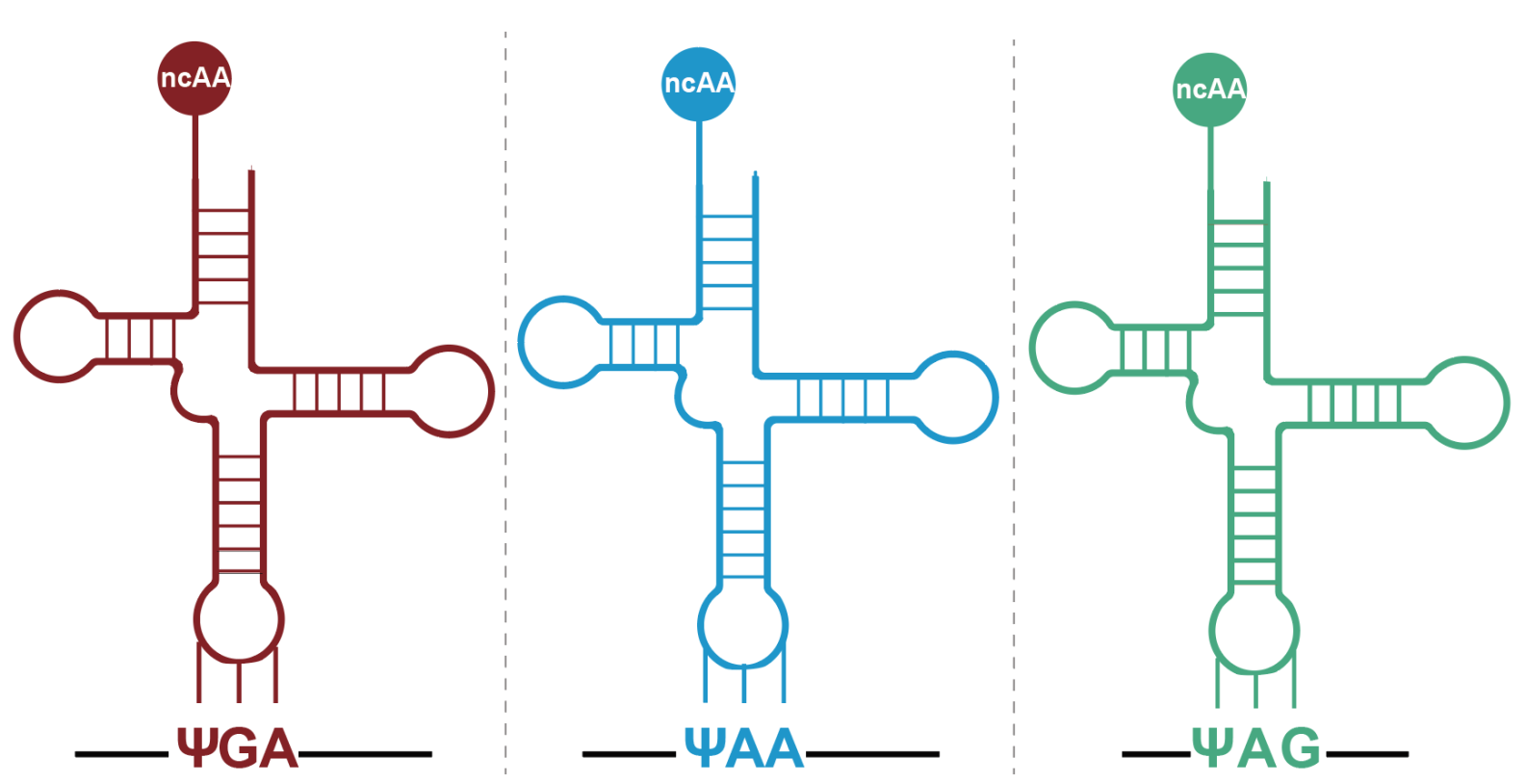 图示AI 生成的内容可能不正确。